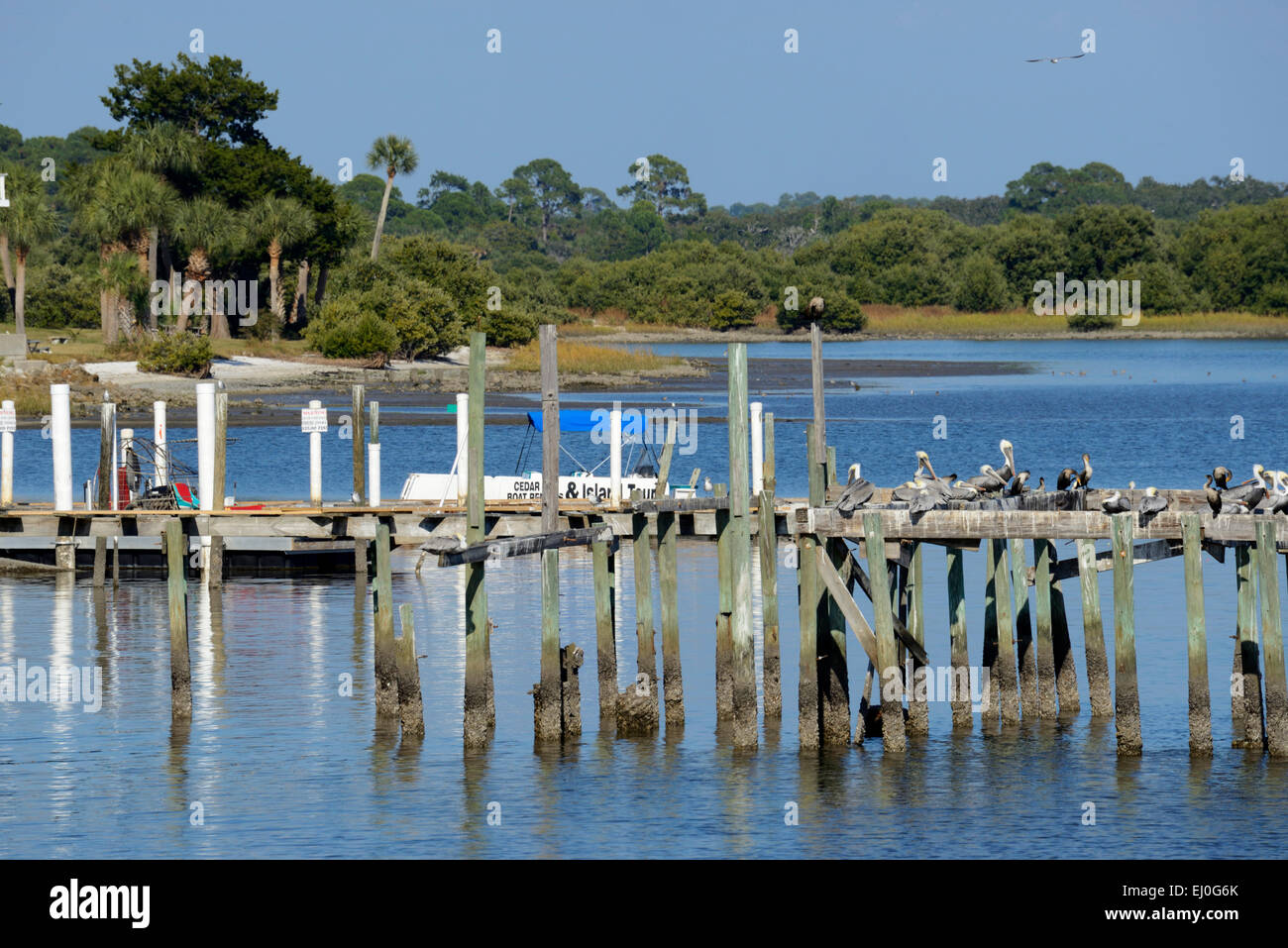 USA, Florida, Levy County, Cedar Key Stock Photo - Alamy