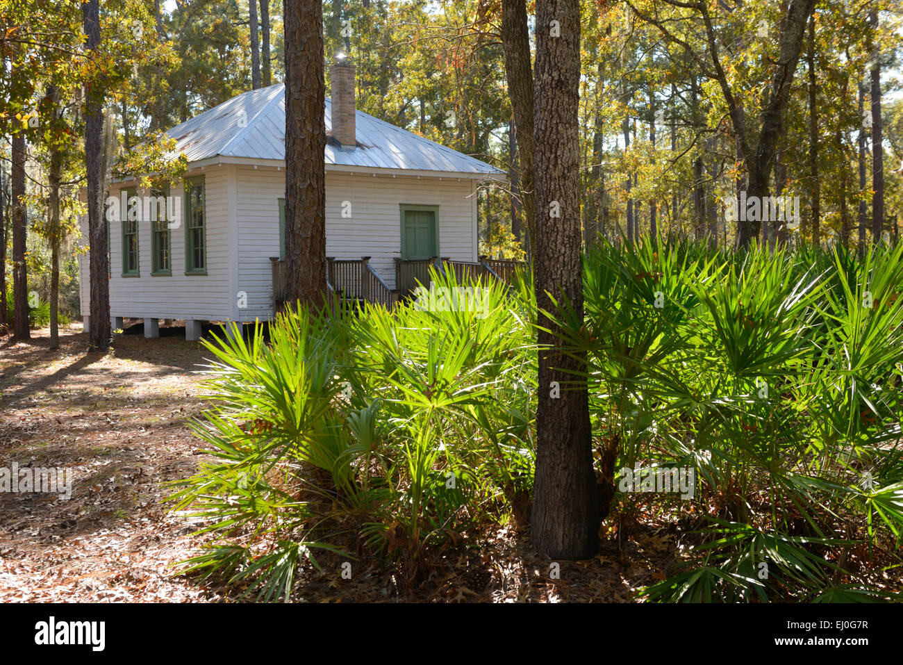 Usa Florida Gainesville Kanapaha Botanical Garden Stock Photo
