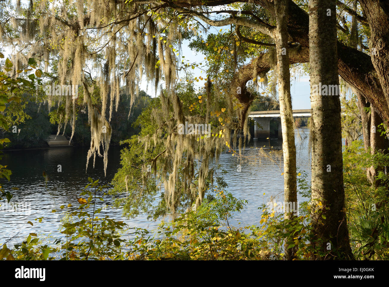 USA, Florida, Dixie, County, Suwannee River Stock Photo