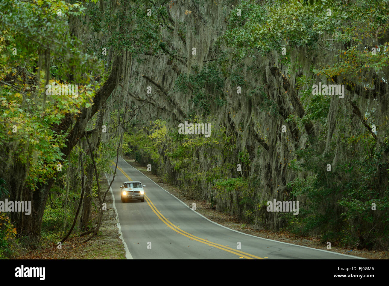 USA, Florida, Tallahassee, Panhandle, canopy road Stock Photo Alamy