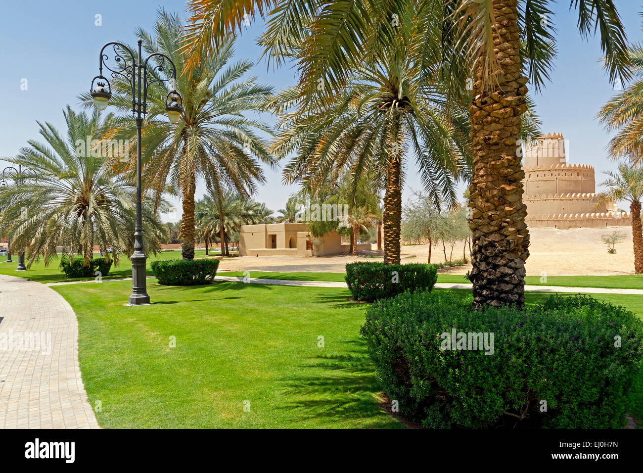 Asia United Arab Emirates Uae Abu Dhabi Al Ain Al Ain Street Al Jahili Fort Al Jahili Park Palms Mosque Small Tourism Stock Photo Alamy Asia United Arab Emirates Uae Abu Dhabi Al Ain Al Ain Street Al Jahili Fort Al Jahili Park Palms Mosque Small Tourism Stock Photo Alamy