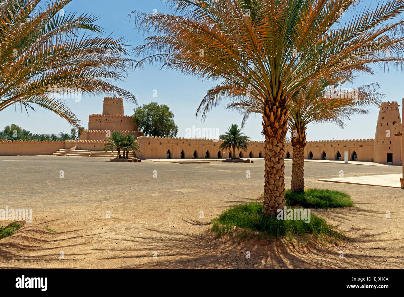 Asia United Arab Emirates Uae Abu Dhabi Al Ain Al Ain Street Al Jahili Fort Palms Tourism Traditional Architecture Ca Stock Photo Alamy