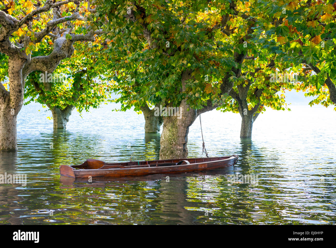 Boat on a flooding, Maggiore with trees in Ascona, Switzerland. Stock Photo