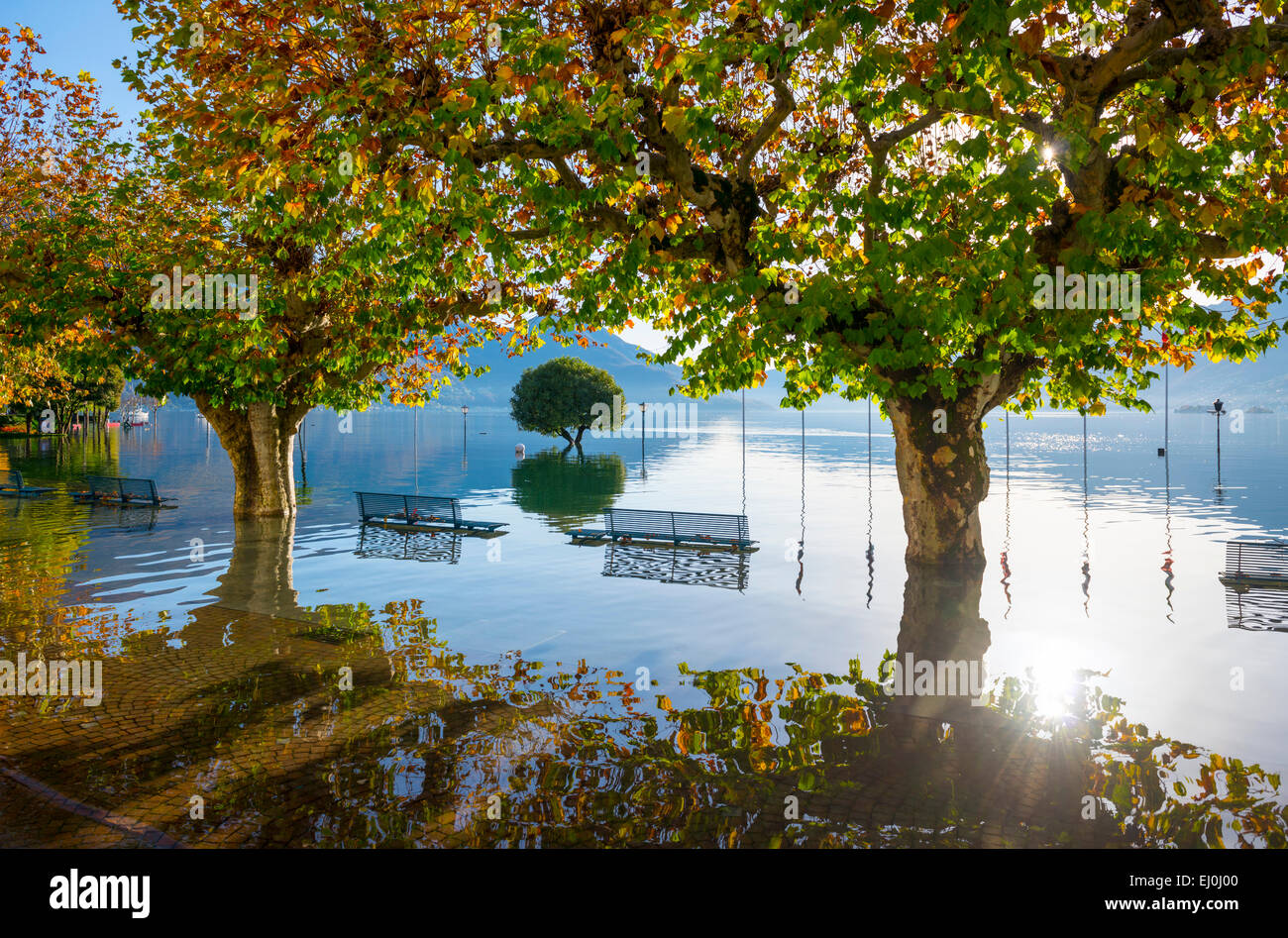 Flooding, Maggiore with trees and benches in a sunny day in Ascona, Switzerland. Stock Photo
