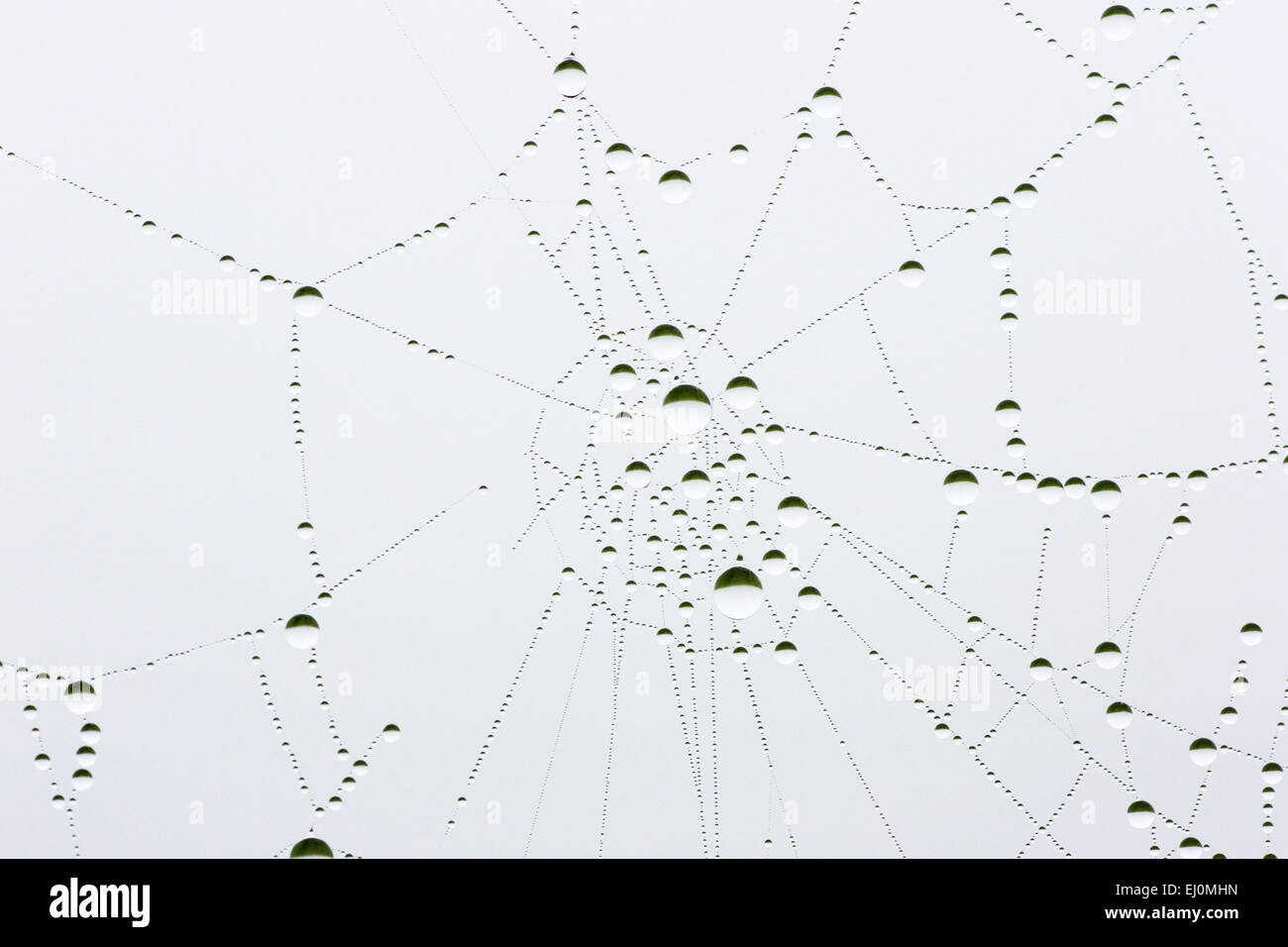 Detail, thread, fathom, Humid, Moist, humidity, moisture, macro, pattern, concepts, close-up, net, pearl, pearls, row, rows, Swit Stock Photo