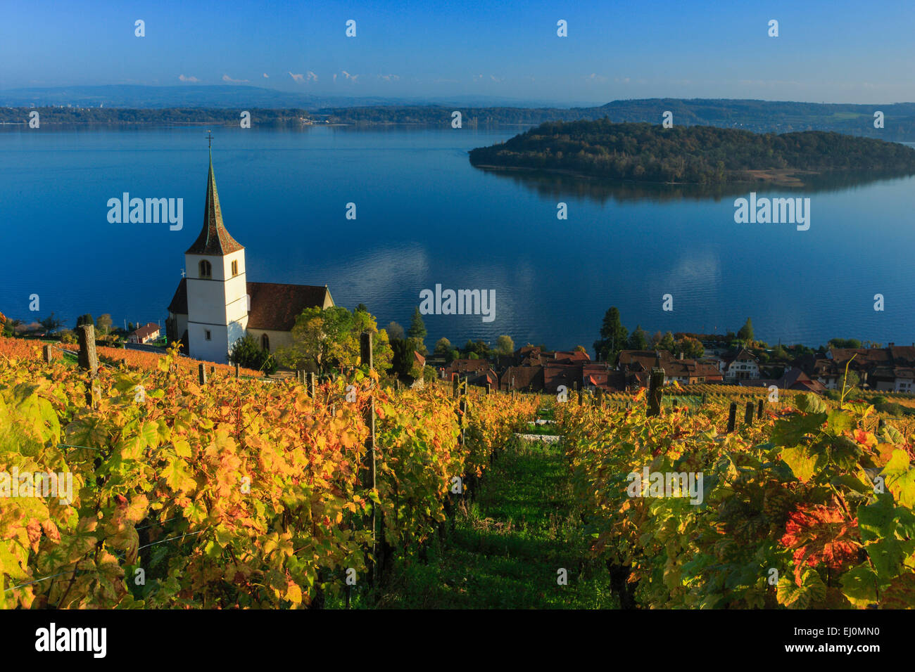 Alps, Alpine, panorama, mountains, mountain panorama, canton Bern, Peter's island, Peter island, lake Biel, autumn, colors, churc Stock Photo