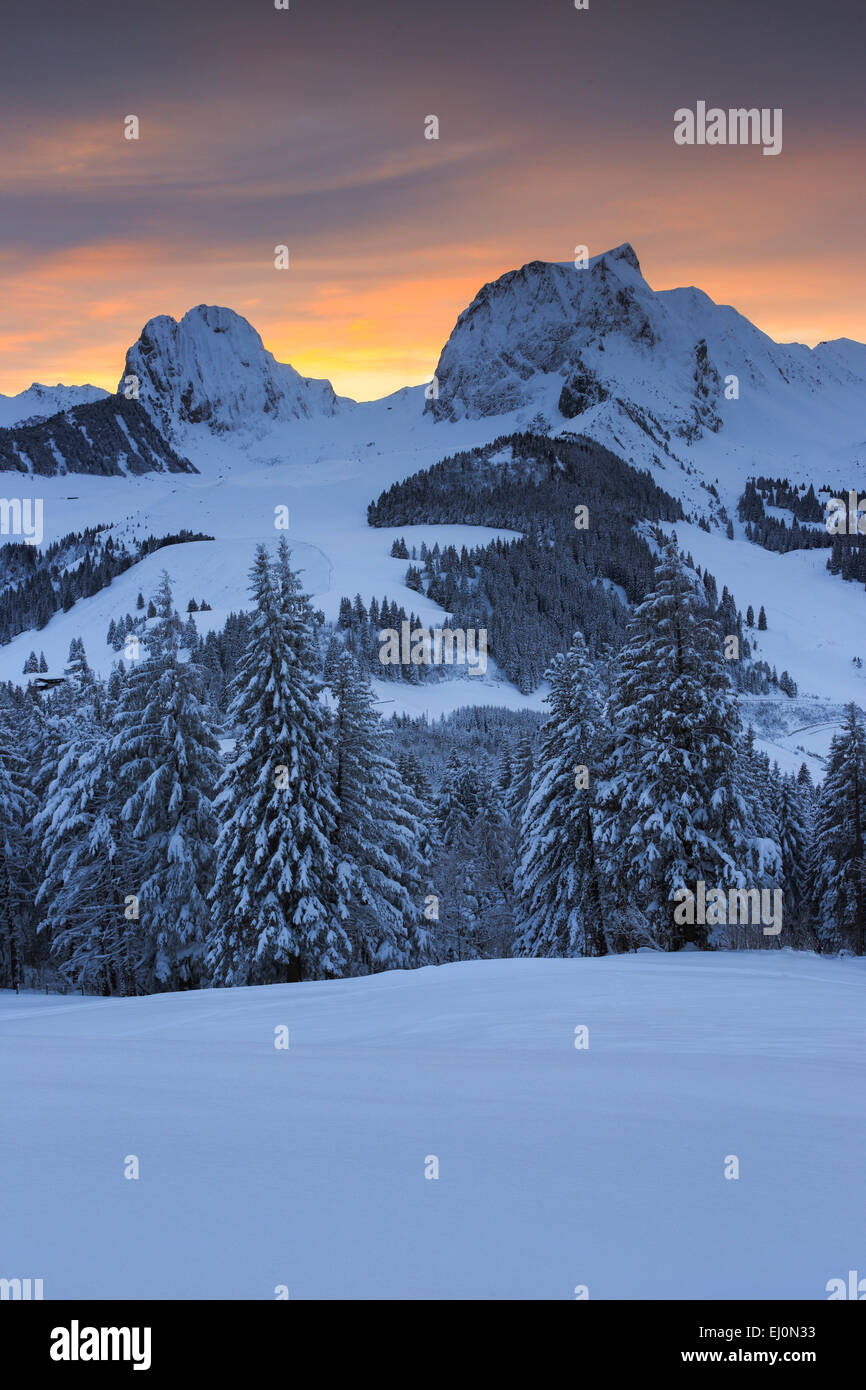 Alpine Tree Border Alps, Alpine panorama, view, tree, tree border, mountain, mountains ...