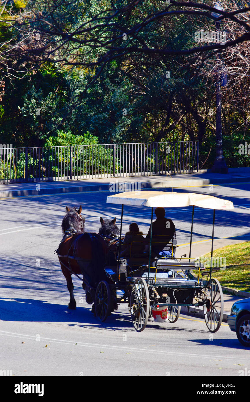 Chariot with horses Stock Photo - Alamy