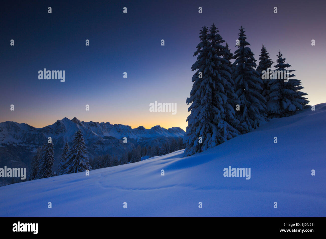 Alps, Alvier, Alviergruppe, Alvier range, view, tree, mountain ...