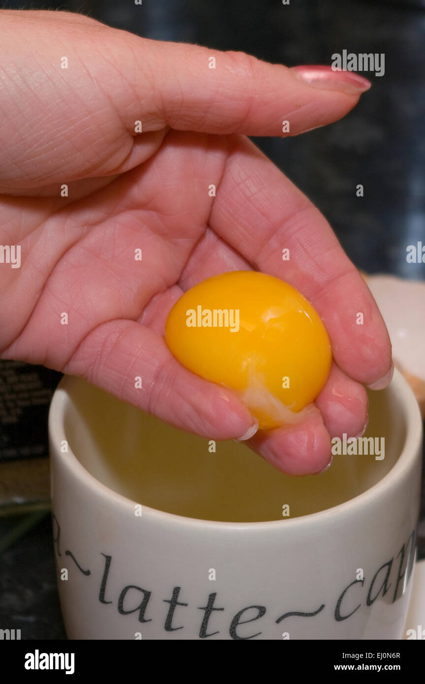 Womans Hand Separating an Egg Into a Mug Stock Photo