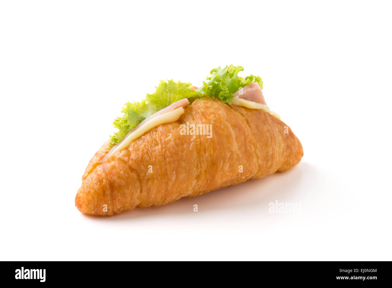 Ham and Cheese Croissant Sandwich. Stock Photo