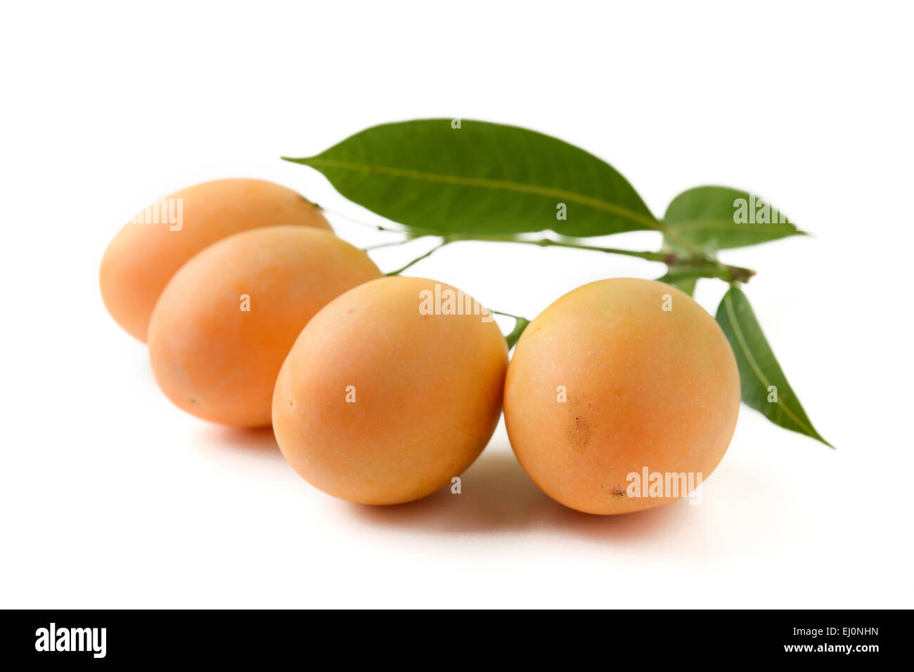 marian plum fruit Stock Photo