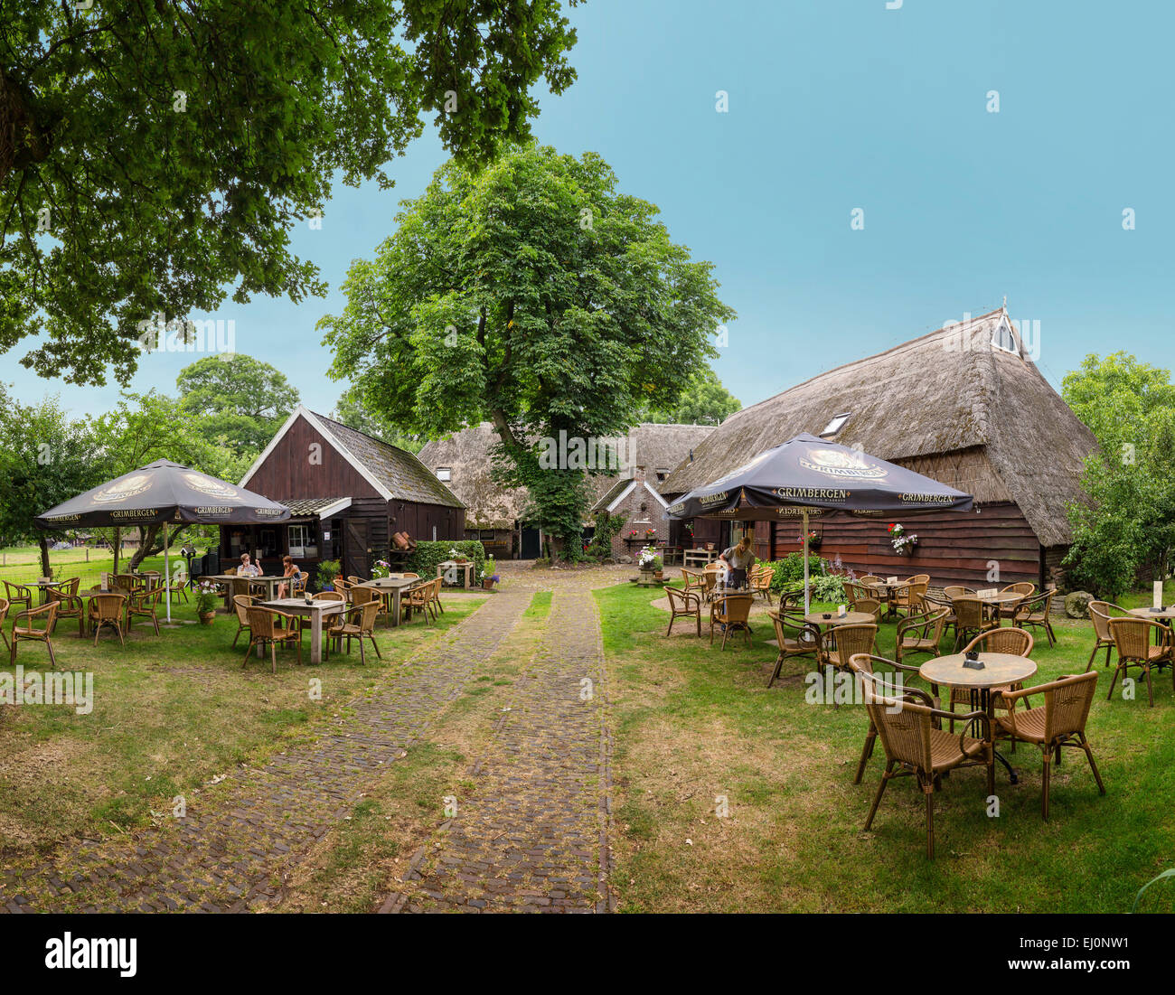 Netherlands, Holland, Europe, Orvelte, Drenthe, village, wood, trees