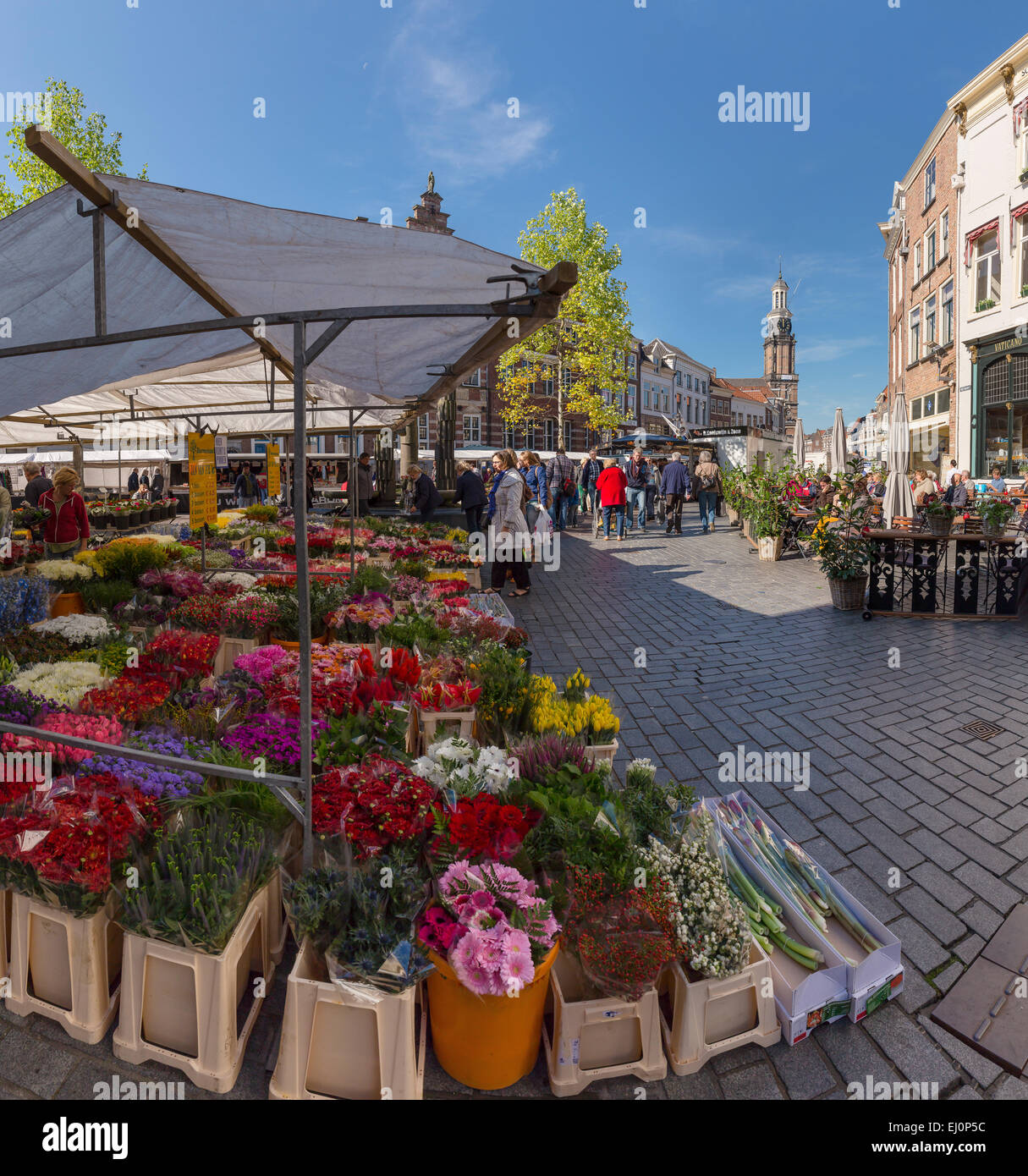 Netherlands, Holland, Europe, Zutphen, Gelderland, village, flowers