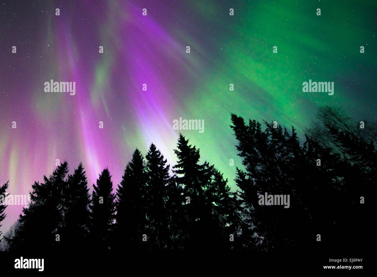 Colorful northern lights Stock Photo