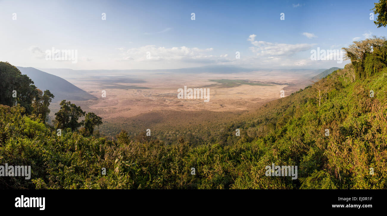 Africa, scenery, landscape, Ngorongoro, Conservation area, protective area, Ngorongoro crater, travel, Tanzania, East Africa, Stock Photo