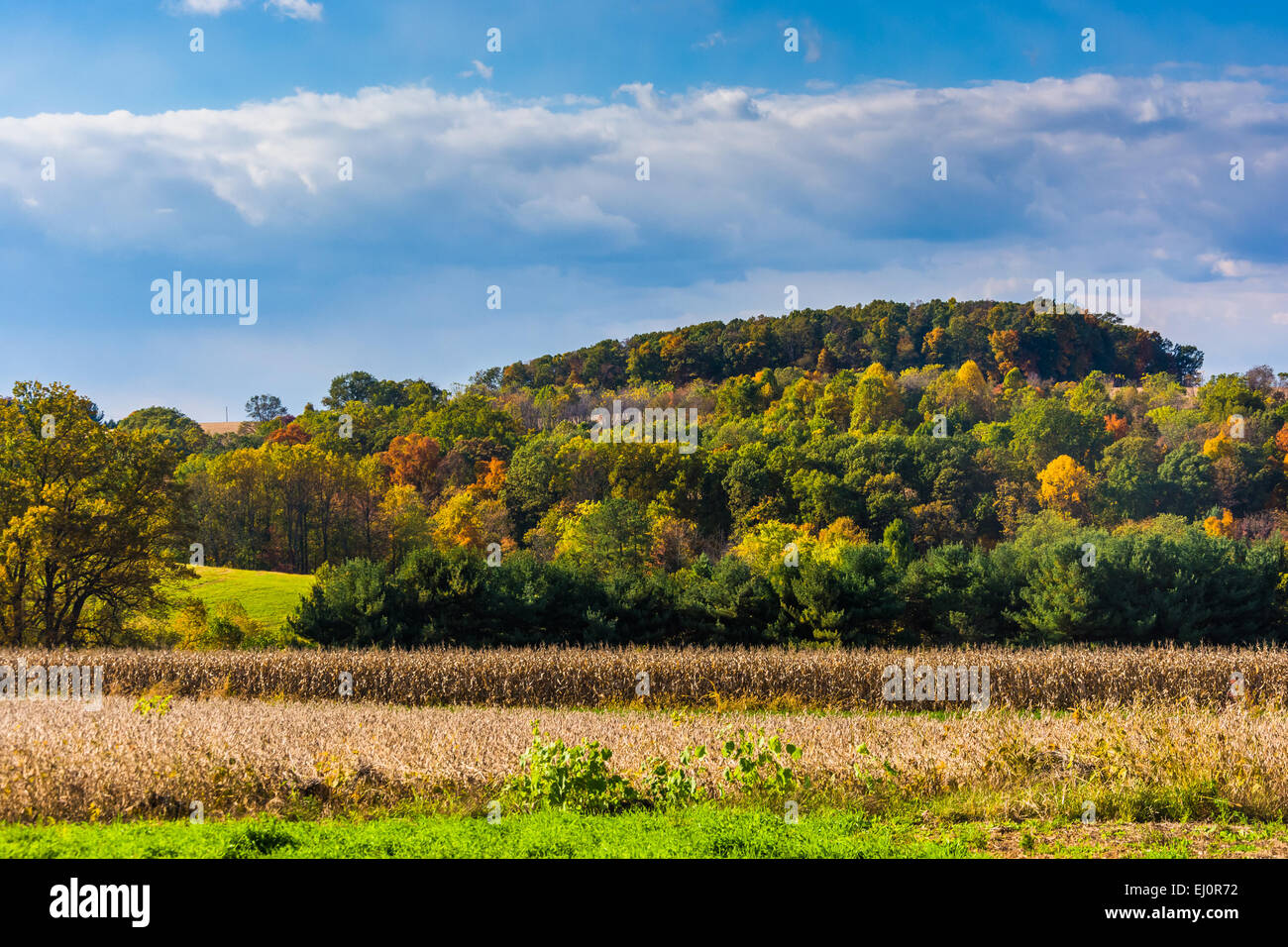 View of early autumn color in the rolling hills of York County
