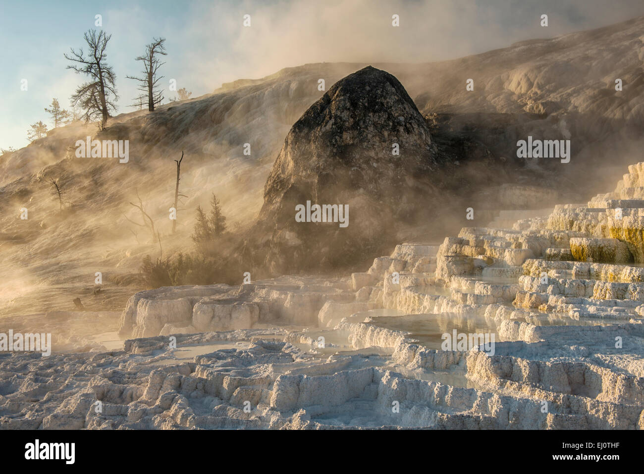 USA, United States, America, Wyoming, Rockies, Rocky Mountains, Yellowstone, National Park, UNESCO, World Heritage, Mineral depos Stock Photo