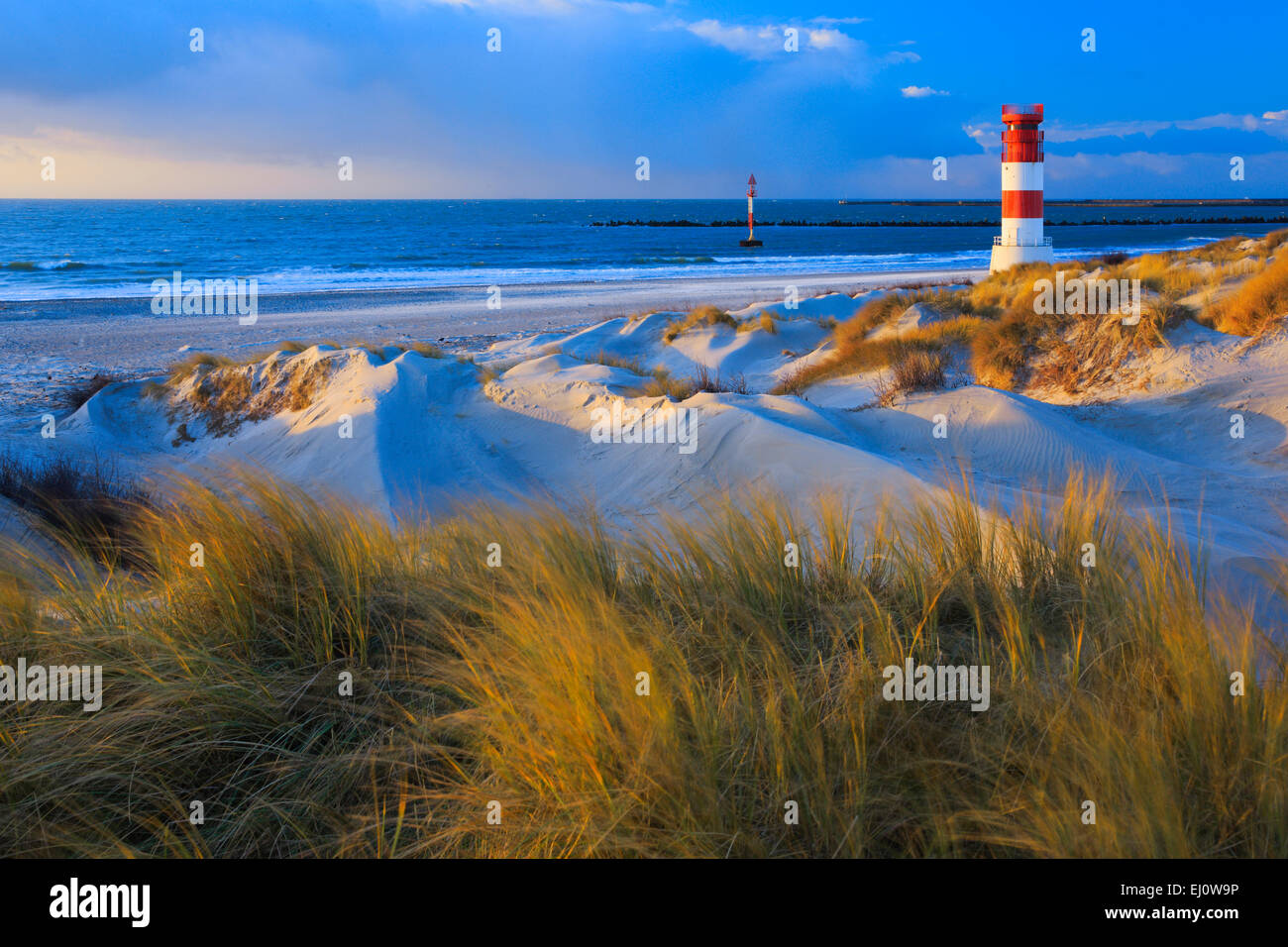 Germany, Europe, dune, dune grass, Helgoland, high seas, deep-sea  island, island, isle, island, isle, coast, coastal vegetation, Stock Photo