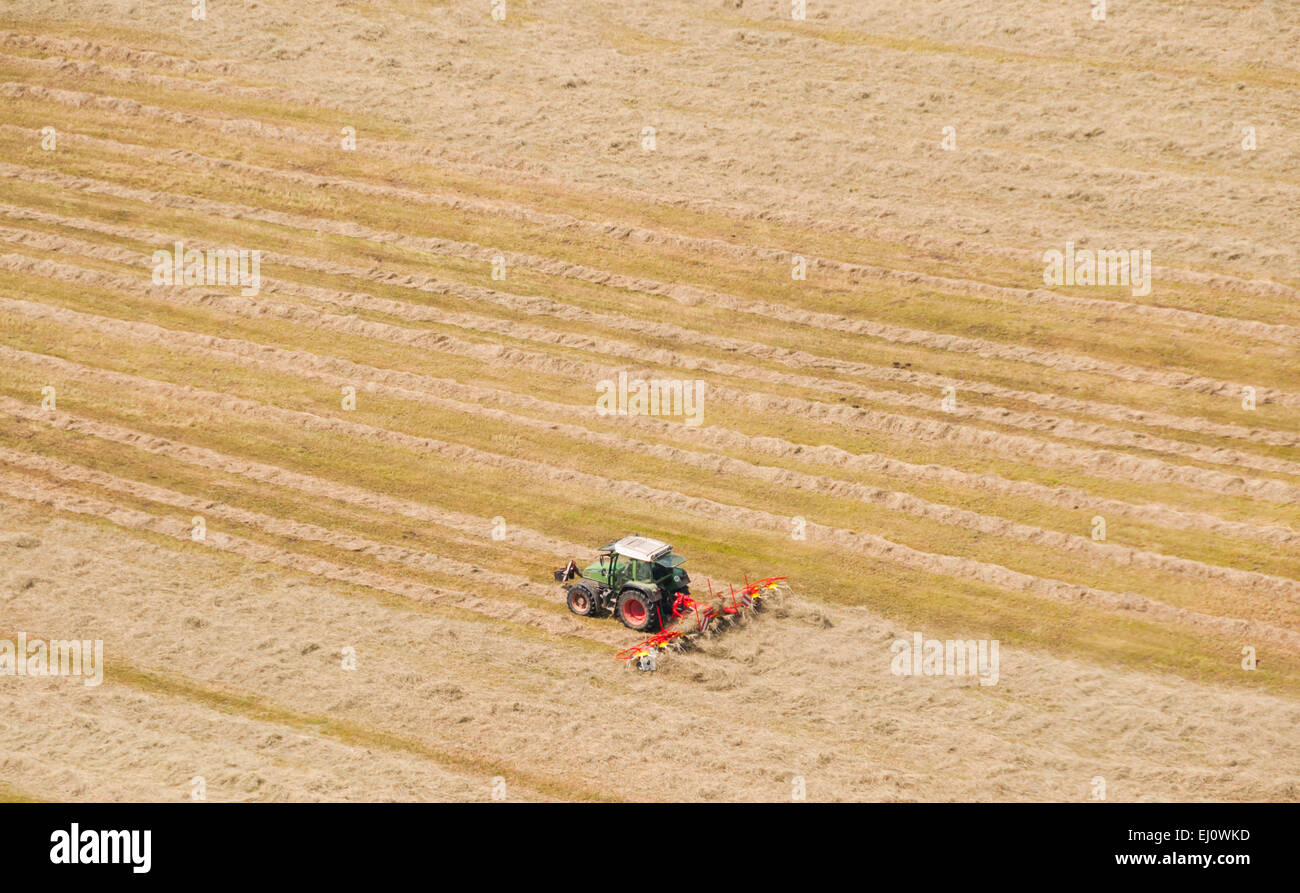 Field, alps, cultivation surface, outside, Germany, harvest, crop, Europe, vehicle, vessel, field, field work, hay, hay harvest, Stock Photo