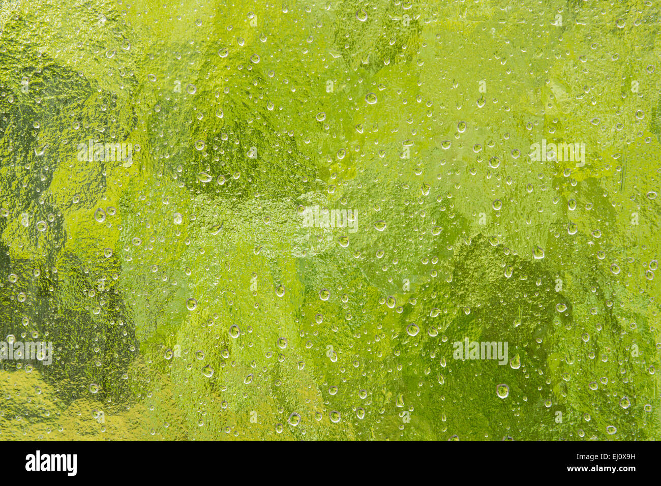 Window, window pane, nobody, close-up, wet, precipitation, rain, raindrop, weather, rainy, water, drop of water Stock Photo