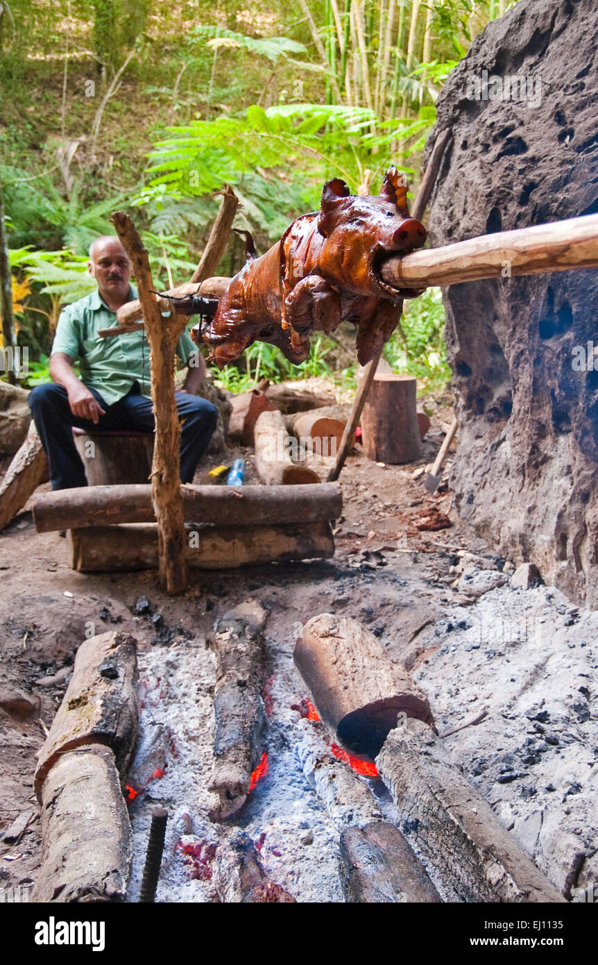 Vertical view of a hog roast on a makeshift spit in Cuba. Stock Photo