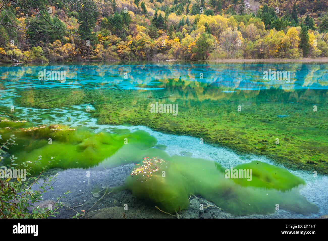 Five Flowers Lake China Hi Res Stock Photography And Images Alamy