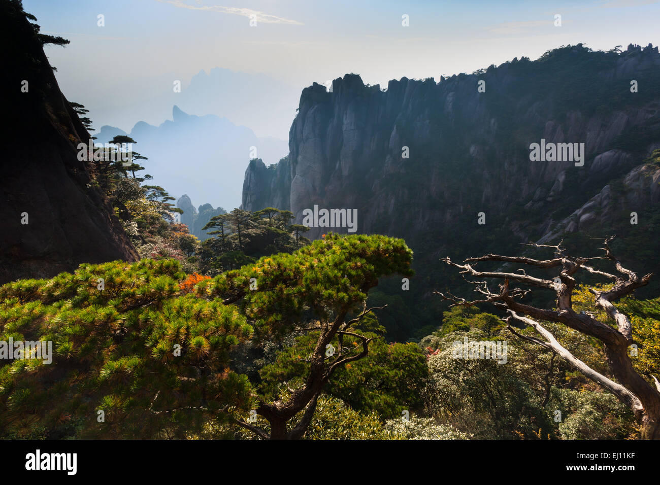 Sanquingshan, national park, China, Asia, province, Jiangxi, UNESCO, world nature heritage, mountains, rocks, cliffs, pines Stock Photo