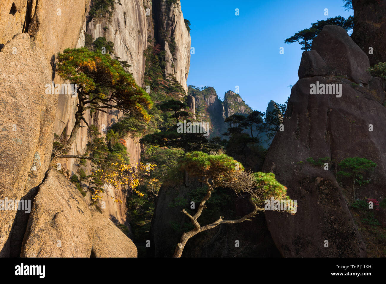 Sanquingshan, national park, China, Asia, province, Jiangxi, UNESCO, world nature heritage, mountains, rocks, cliffs, pines Stock Photo