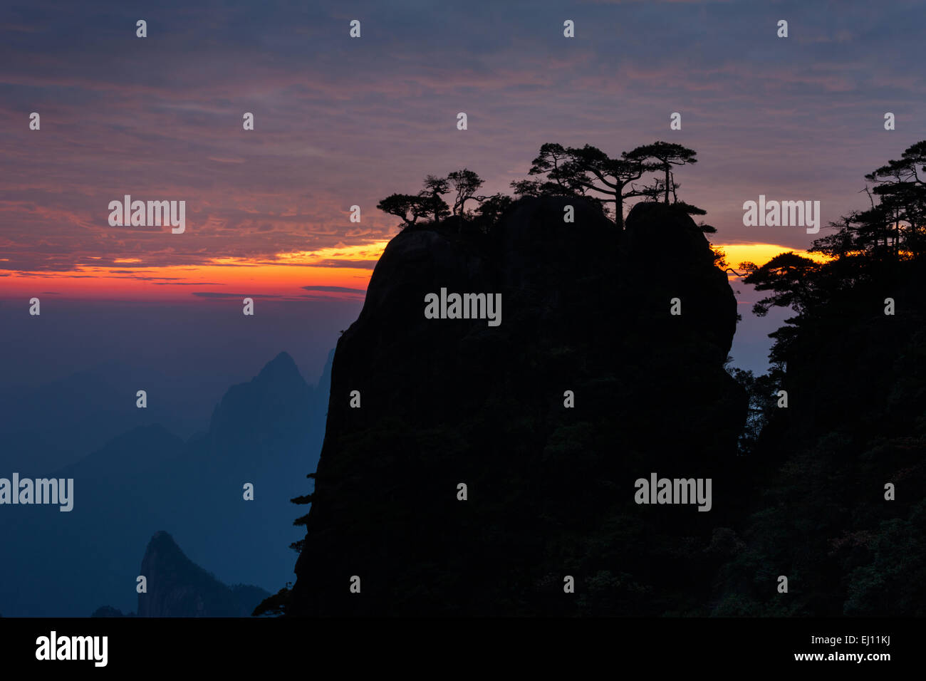 Sanquingshan, national park, China, Asia, province, Jiangxi, UNESCO, world nature heritage, mountains, rocks, cliffs, pines, tree Stock Photo