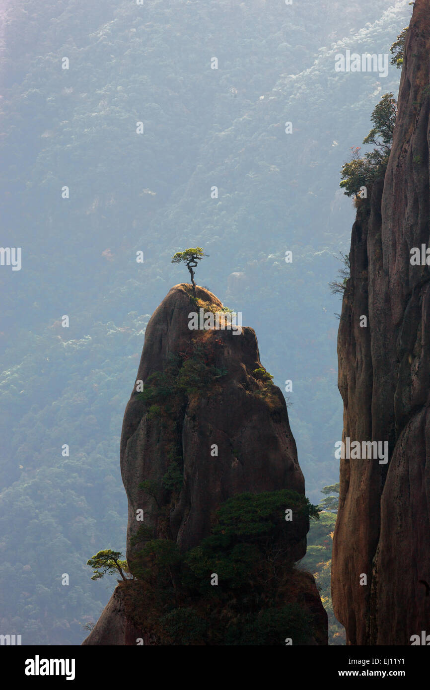 Sanquingshan, national park, China, Asia, province, Jiangxi, UNESCO, world nature heritage, mountains, rocks, cliffs, pines Stock Photo