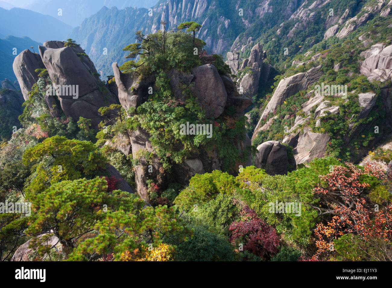 Sanquingshan, national park, China, Asia, province, Jiangxi, UNESCO, world nature heritage, rock, cliff, pines, trees, broad-leav Stock Photo