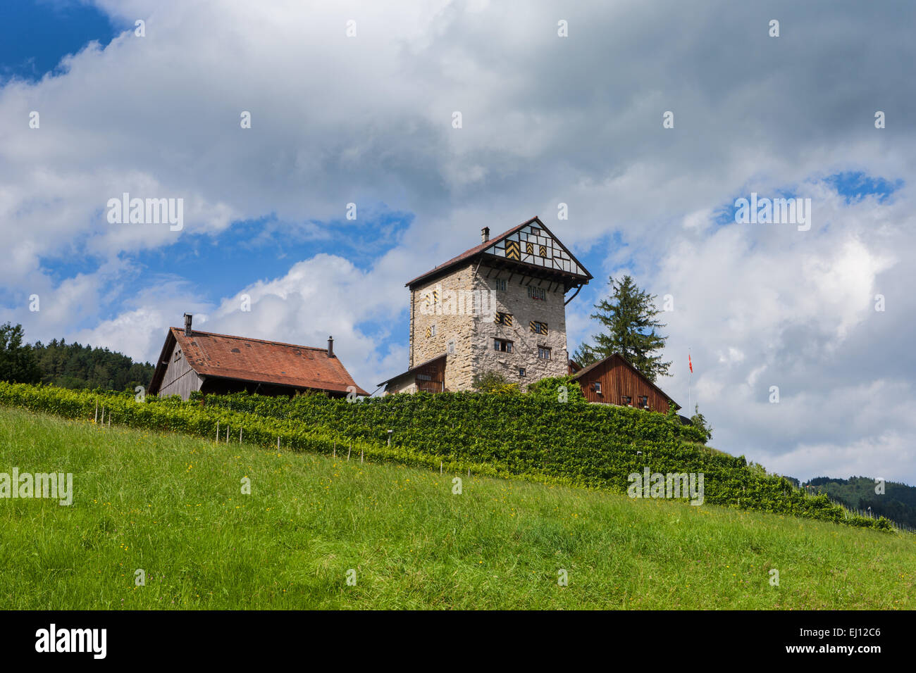 Castle, new old sites, Switzerland, Europe, canton St. Gallen, Rhine Valley Stock Photo