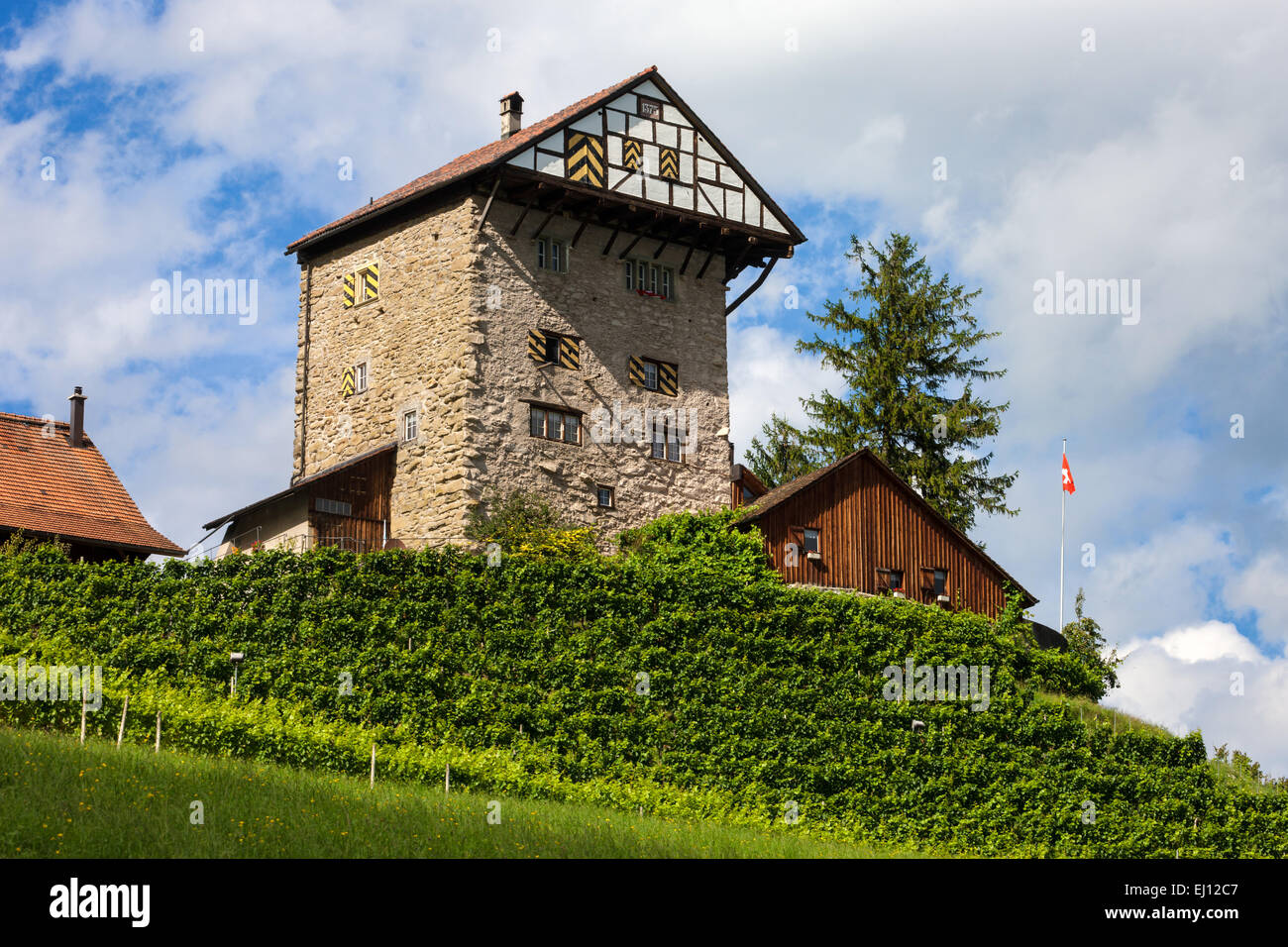 Castle, new old sites, Switzerland, Europe, canton St. Gallen, Rhine Valley Stock Photo