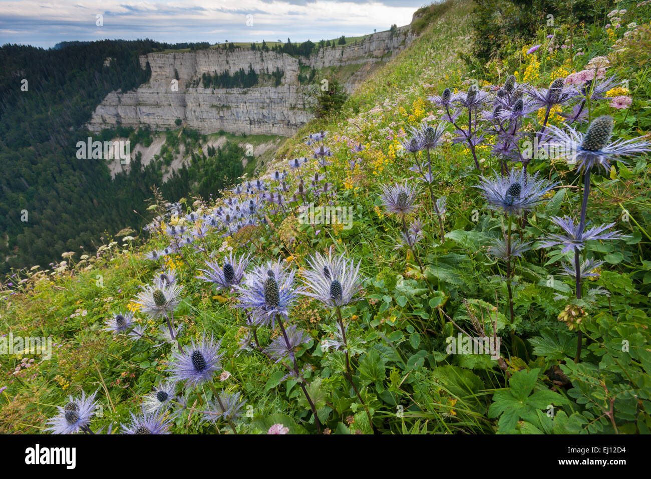 Creux du van, Switzerland, Europe, canton Neuchatel, Jura, Neuchatel