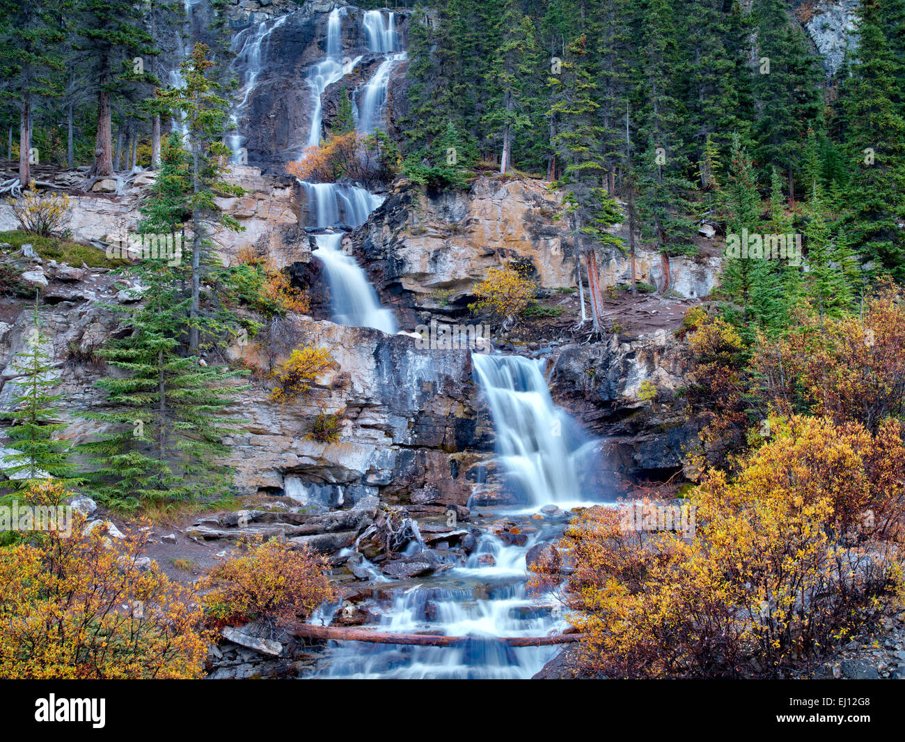 Tangle Falls with fall colored willows. Jasper National Park, Alberta, Canada Stock Photo