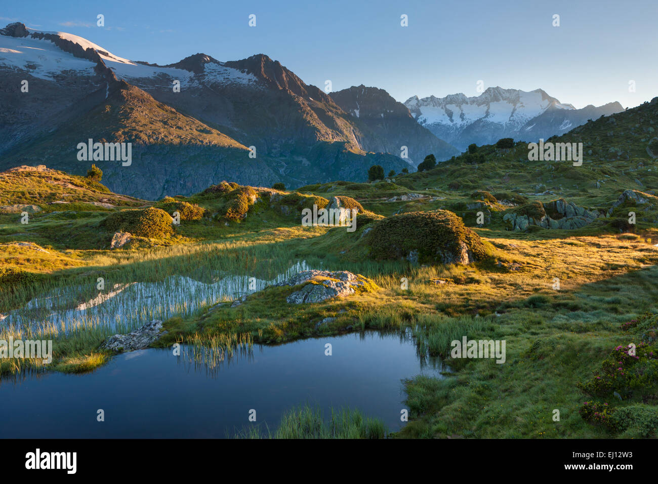 Moosfluh, Switzerland, Europe, canton, Valais, Wallis, Aletsch area, UNESCO, world nature heritage, pool, puddle, lake, morning l Stock Photo