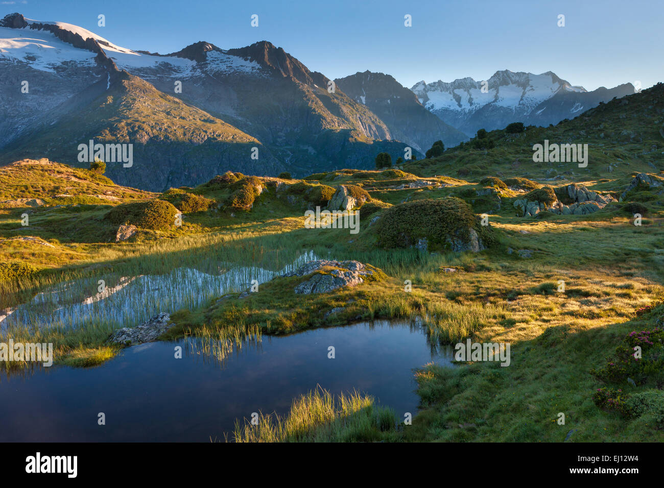 Moosfluh, Switzerland, Europe, canton, Valais, Wallis, Aletsch area, UNESCO, world nature heritage, pool, puddle, lake, morning l Stock Photo