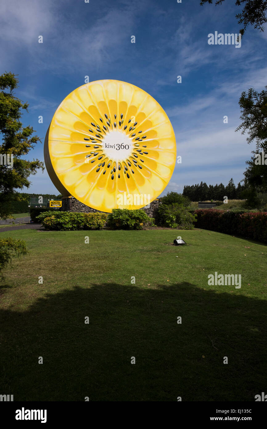 Kiwi fruit farm new zealand hi-res stock photography and images - Alamy