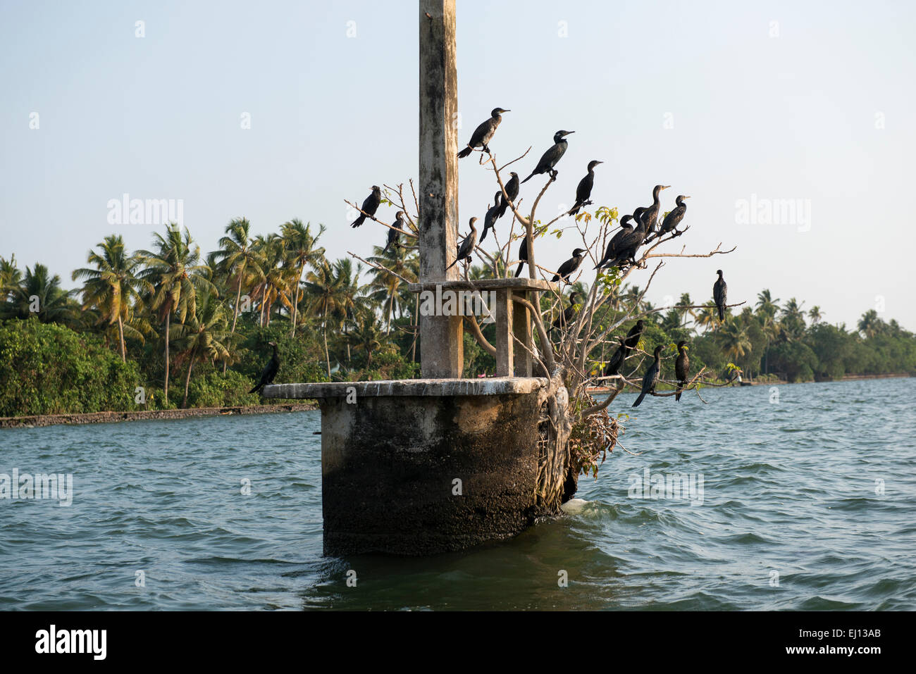 The Vembanad Lake in Kumarakom, Kerala India Stock Photo