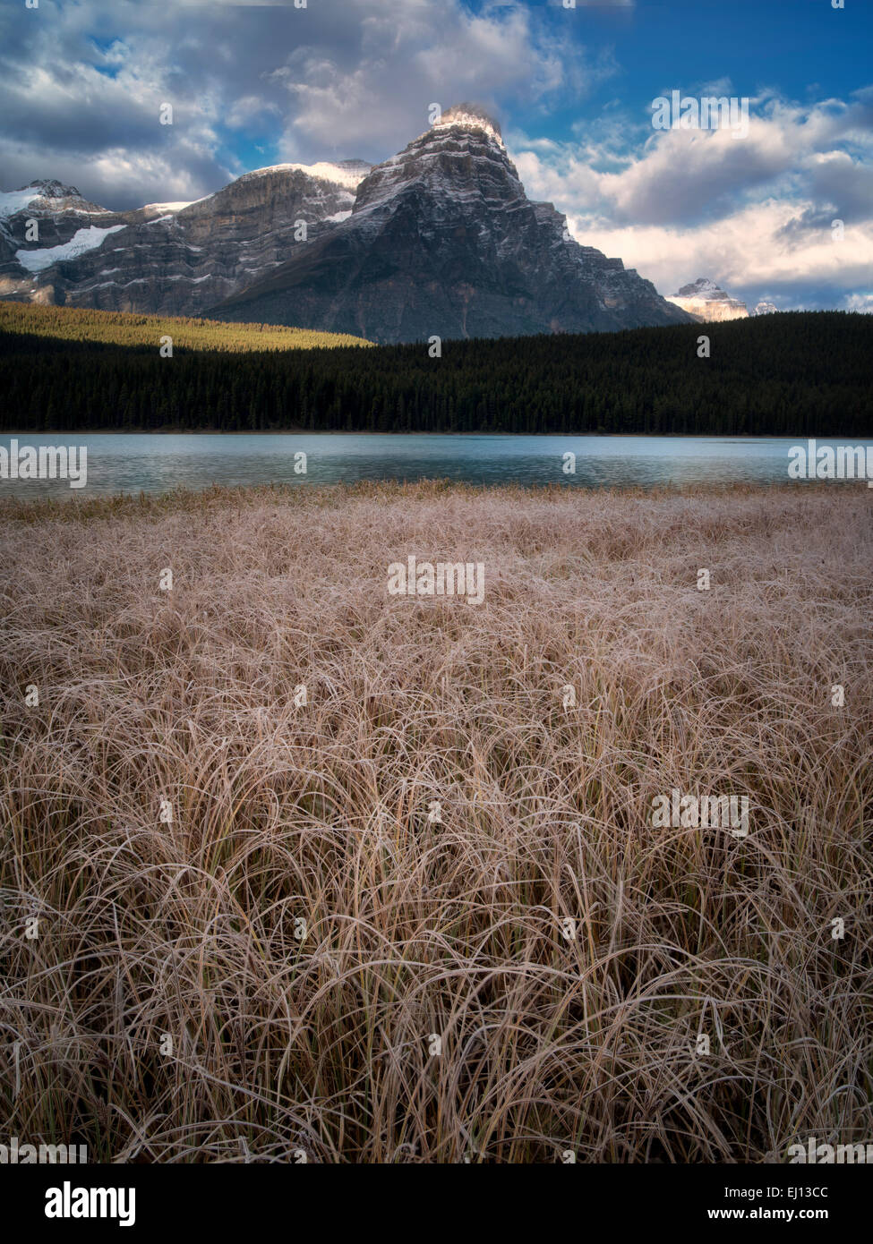 Waterfowl Lakes with frosty grasses and mountains. Banff National Park, Alberta Canada. Stock Photo
