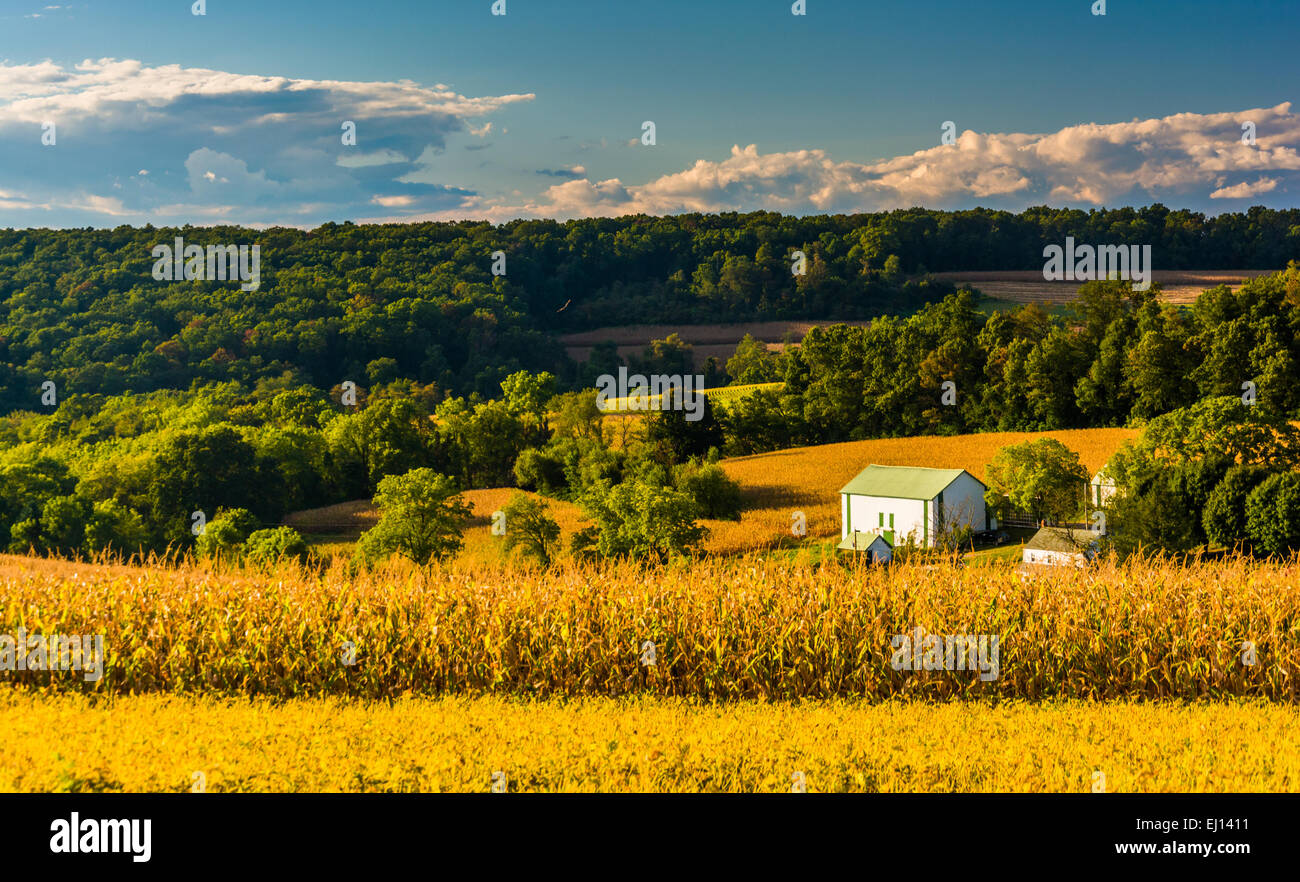 View of rolling hills near Cross Roads, Pennsylvania. Stock Photo
