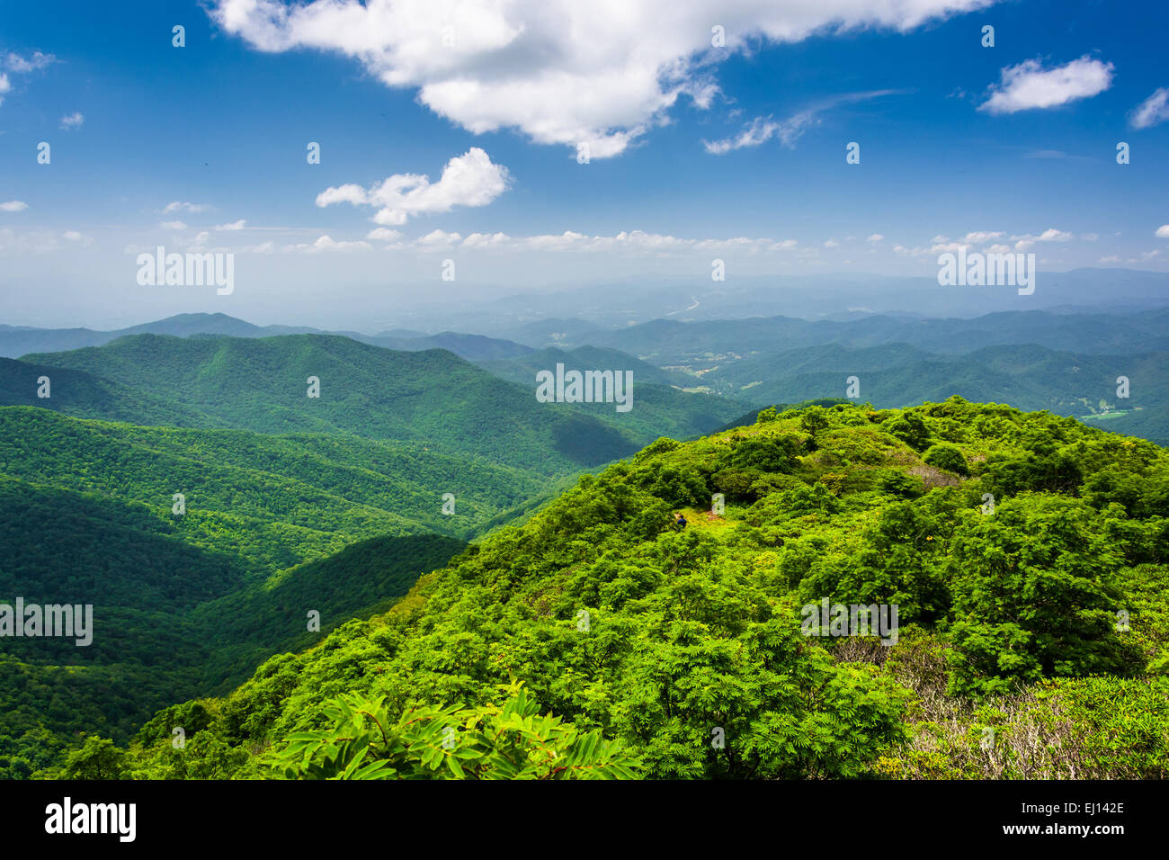 Appalachian rock layers hi-res stock photography and images - Alamy