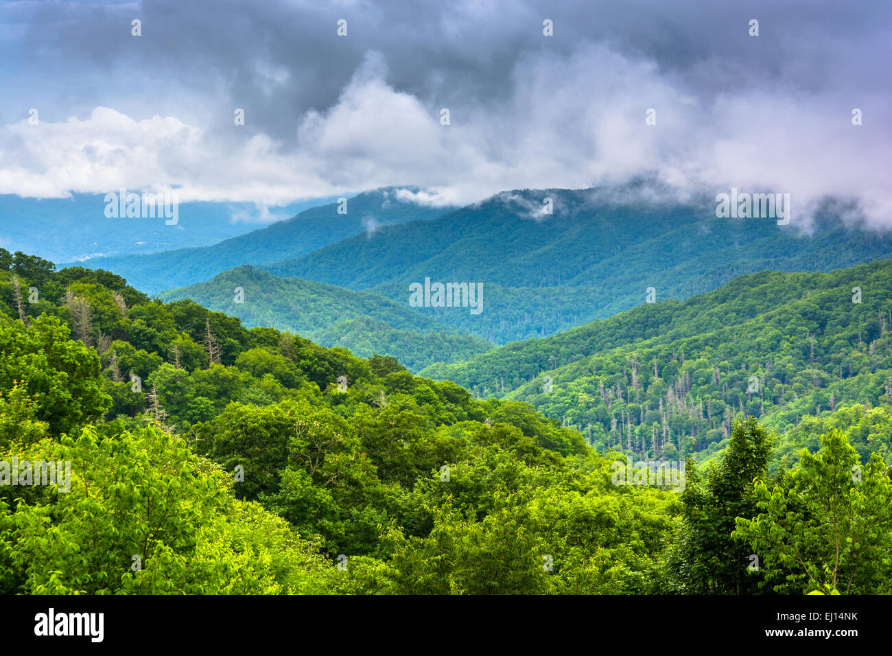 Dramatic view of the Appalachian Mountains from Newfound Gap Road, at