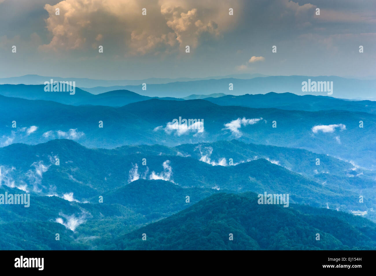 Fog in the Roan Highlands, seen from Roan Road, near Roan Mountain, Tennessee Stock Photo Alamy