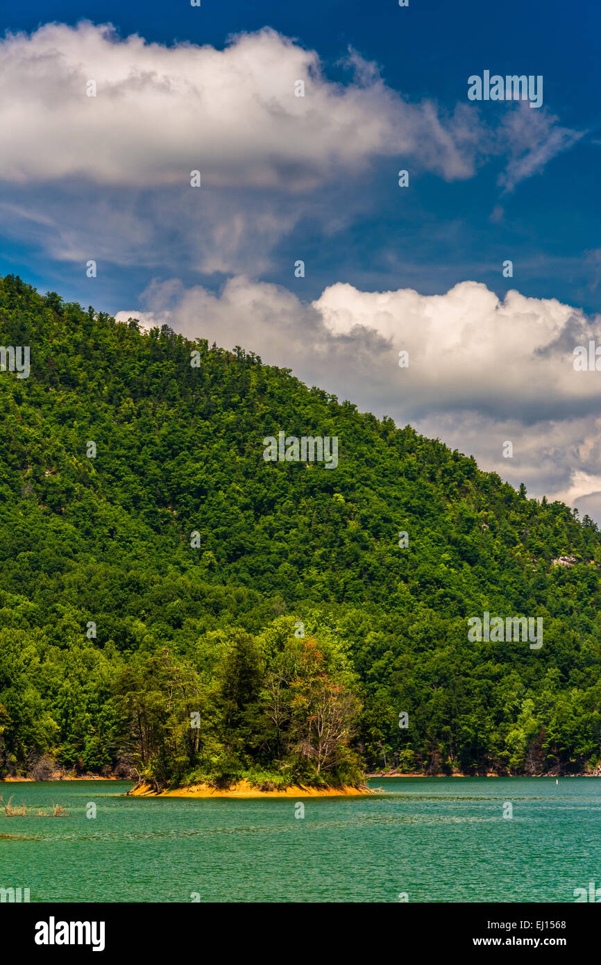 Island in Watauga Lake, Cherokee National Forest, Tennessee Stock Photo
