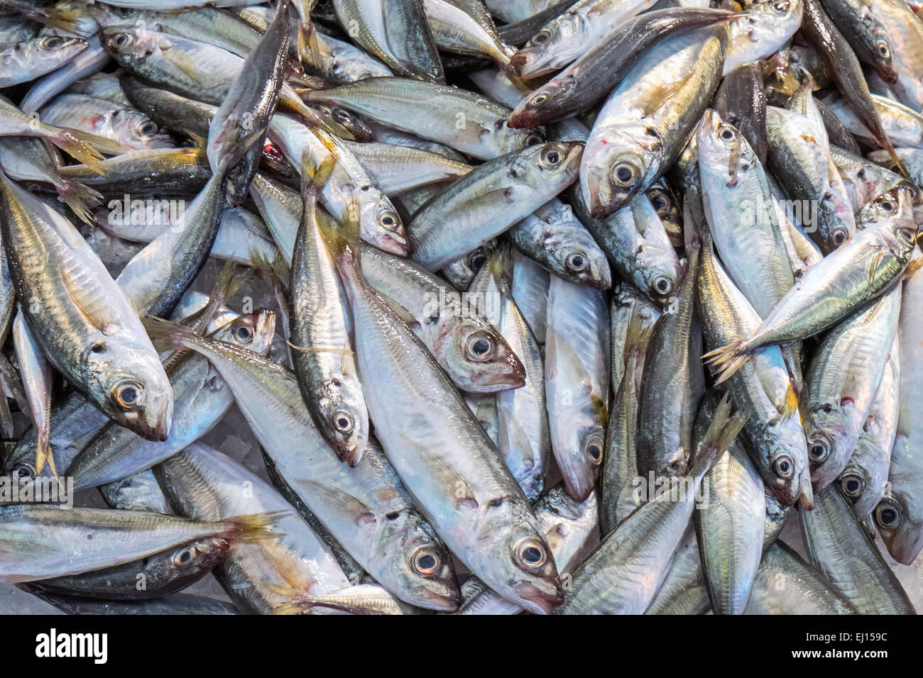 Small fishes for sale at a market Stock Photo