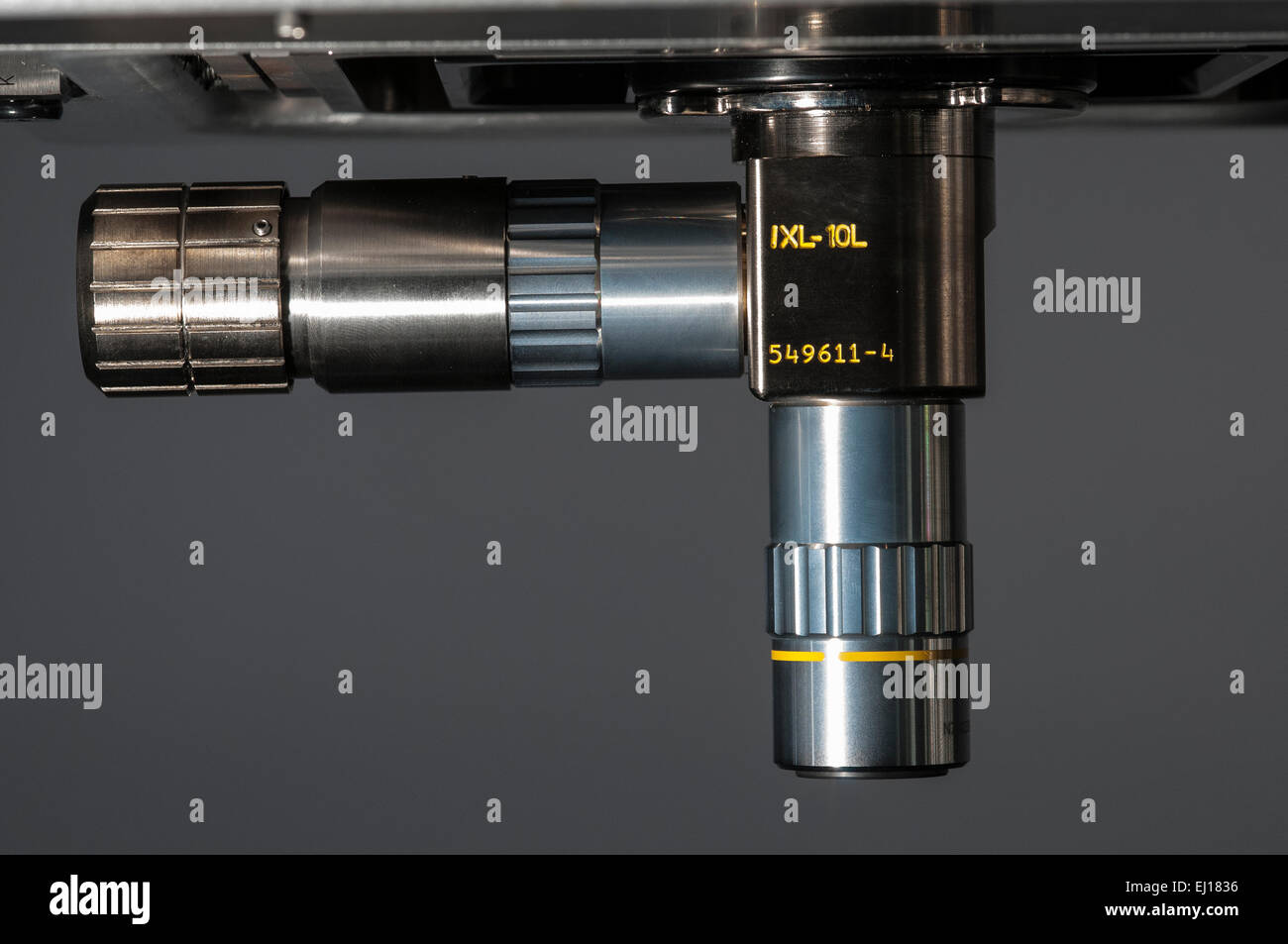 Long working distance interferometric objective lens Stock Photo Alamy