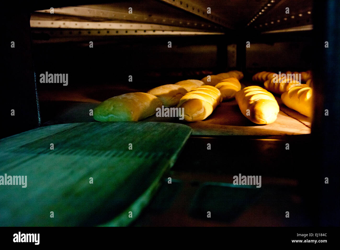 Oven inside plenty of bread. Manufacturing process of spanish bread