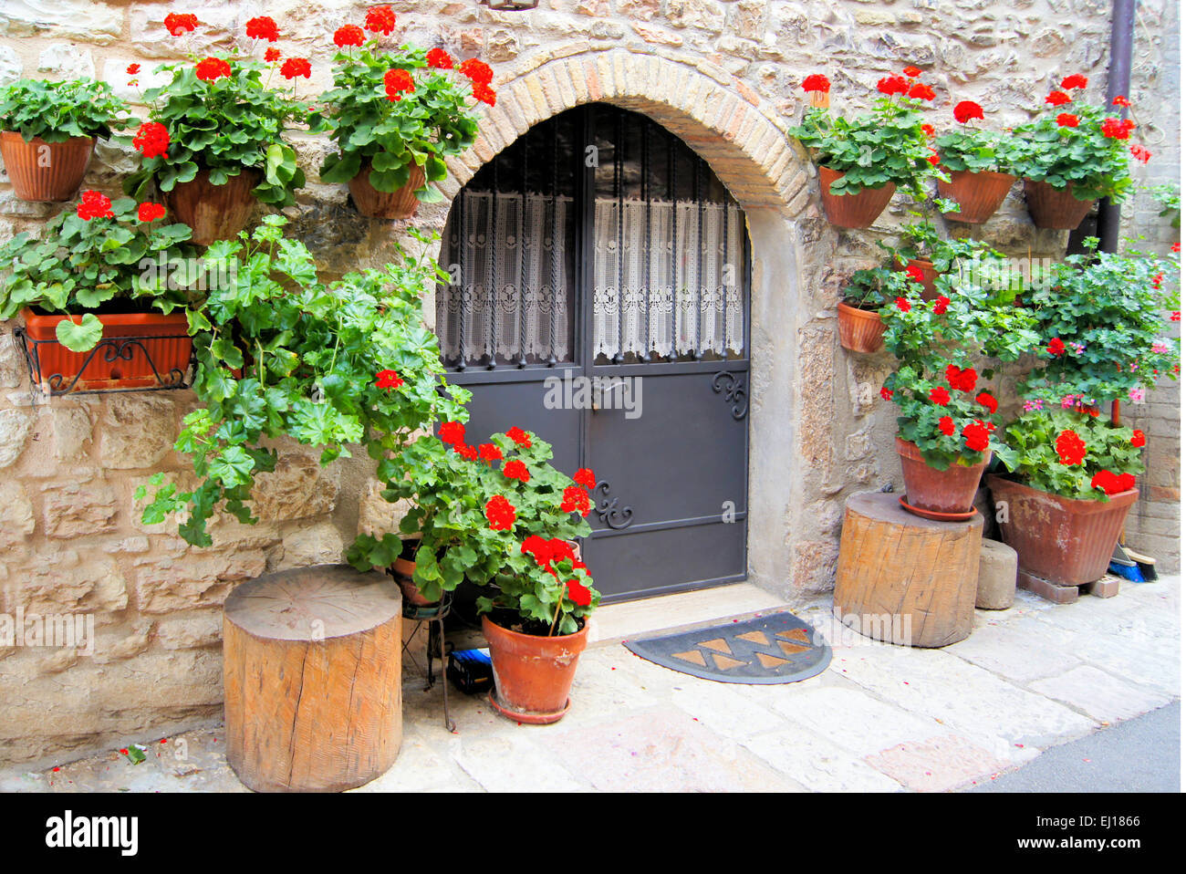 Vibrant red flowers lining a medieval stone wall in a village in Italy ...